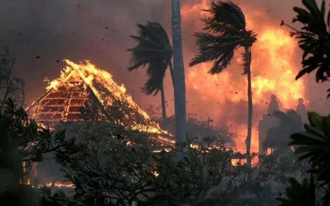 美国夏威夷大火,烧出了一群极力维护美国形象的“殖人”!-黑榜